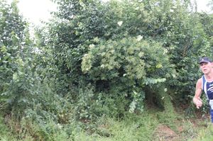 IMG_3025.JPG